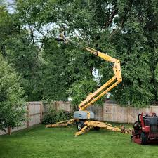 Best Lot and Land Clearing  in Tracy, CA